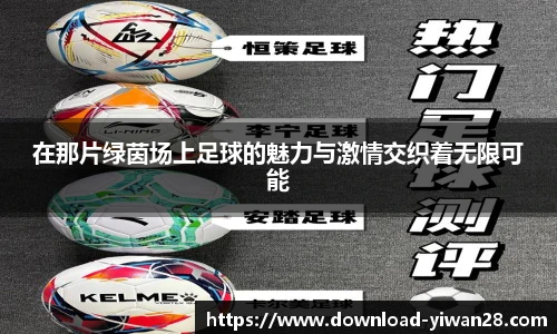 在那片绿茵场上足球的魅力与激情交织着无限可能